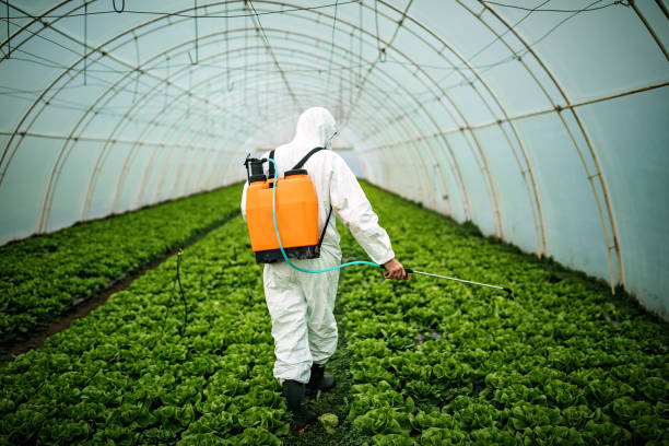 Pest Control for Restaurants in Streator, IL
