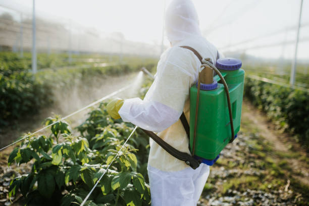 Professional Pest Control in Streator, IL